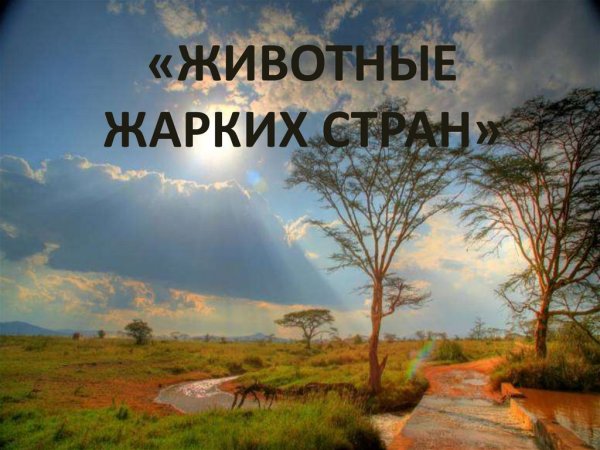 Пейзаж жарких стран