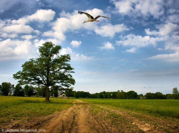 Белоруссия природа