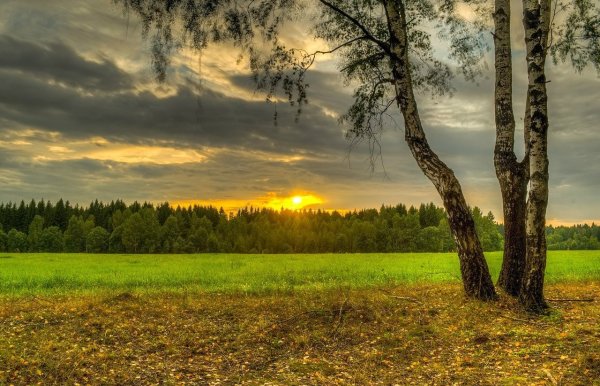 Парк Припятский Беларусь