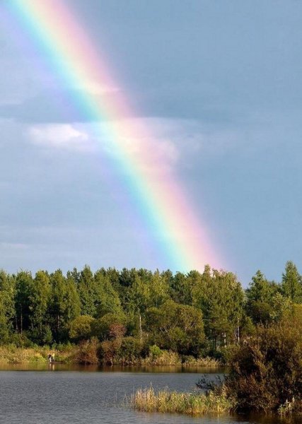 Радуга цвета в природе