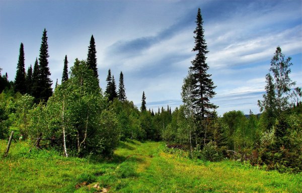 АНТИБЕССКИЙ заказник