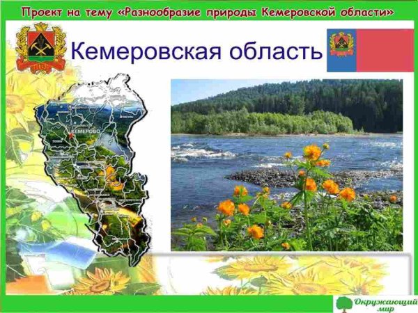 Разнообразие природы Кузбасса