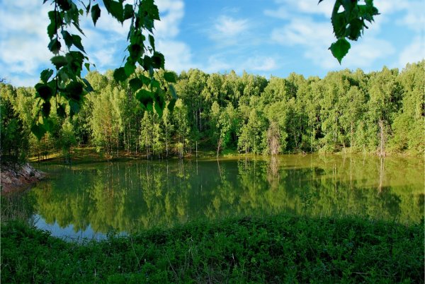 Кузбасс природа родного края