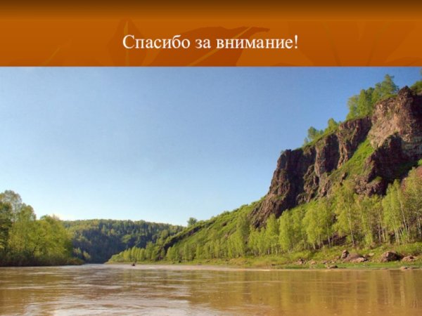 Проект разнообразие природы Кузбасса