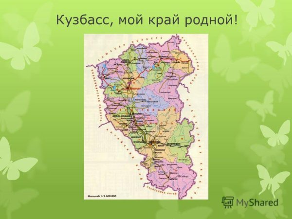 Растительный мир Кузбасса для детей
