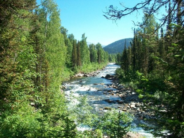Салаирский Кряж Кузбасс