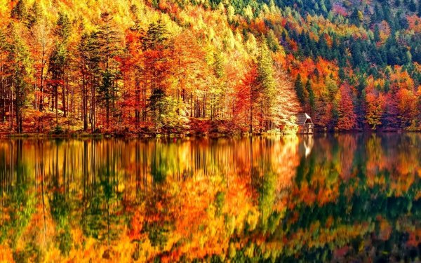 Яркая природа