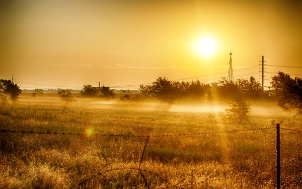 Летнее утро в деревне