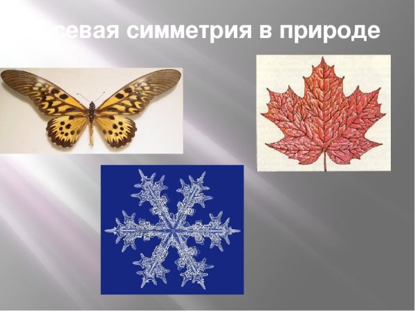 Симметричные предметы