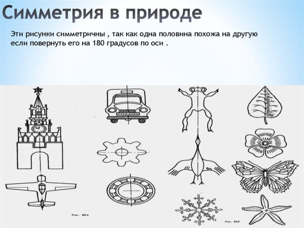Симметричные предметы в природе