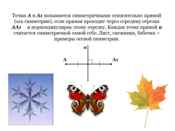 Симметрия и асимметрия в природе