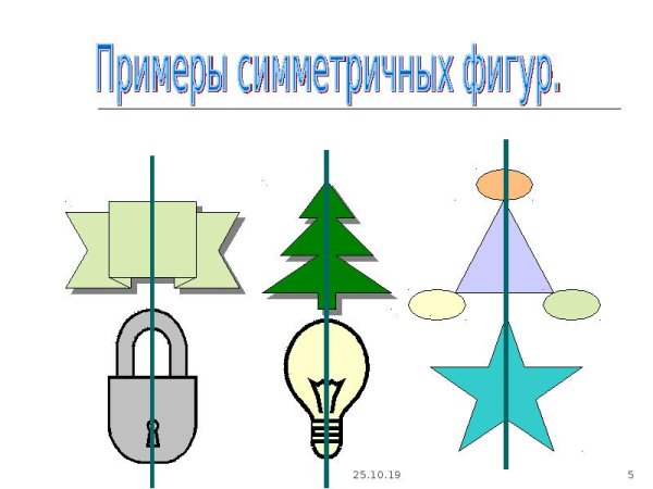 Симметричные фигуры в природе