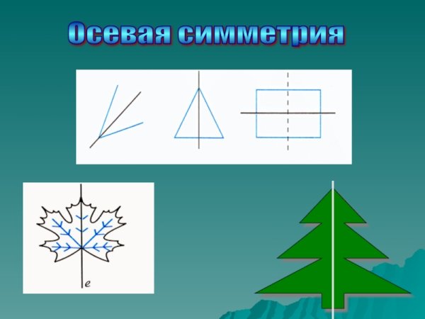 Рисунок на тему симметрия в природе