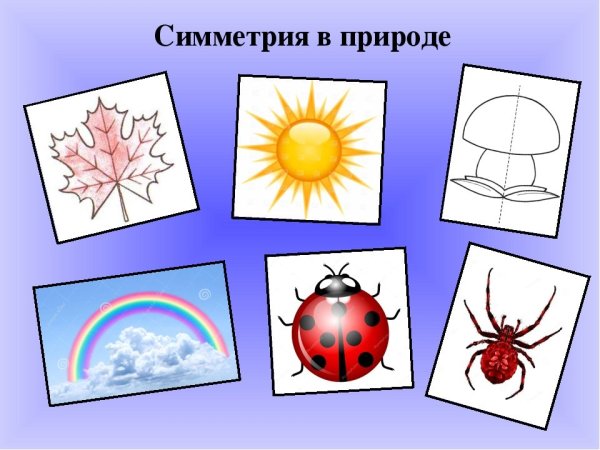 Симметрия в геометрии