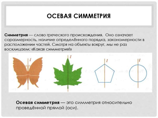 Симметричные предметы бабочка
