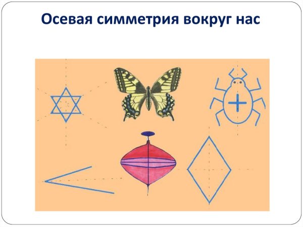 Ось симметрии рисунок