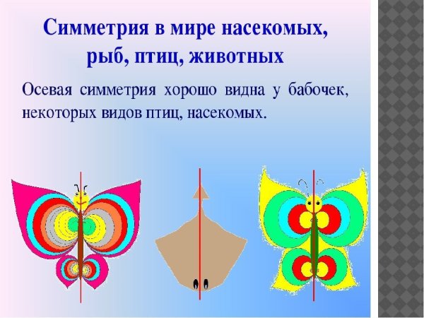 Осевая симметрия рисунки