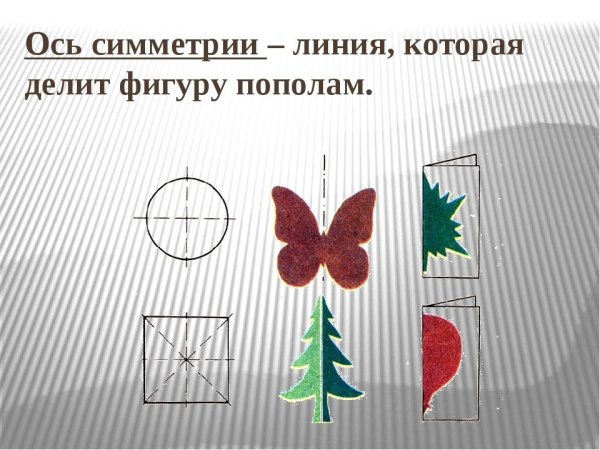 Симметричные фигуры вокруг нас