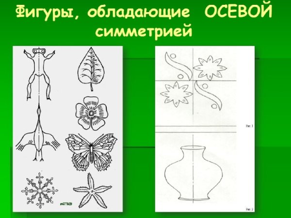 Ось симметрии 2 класс математика школа России