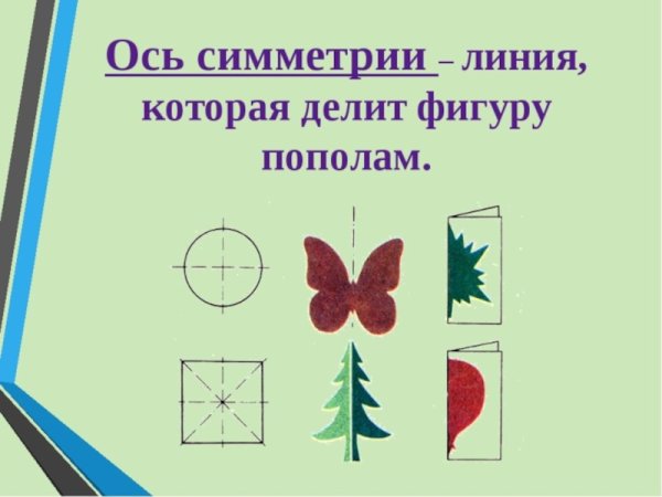 Ось симметрии рисунок