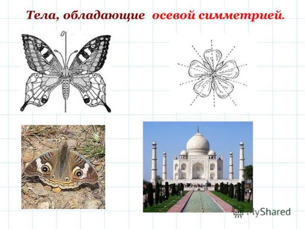 Творческие симметричные фигуры