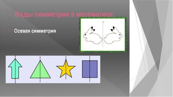 Симметрия в природе геометрия