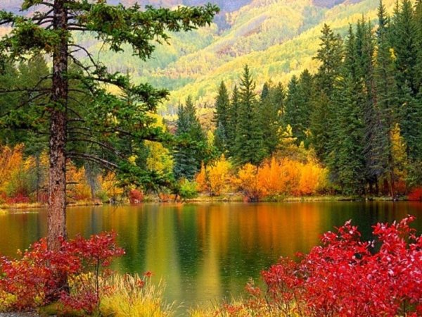 Природа дивная Краса
