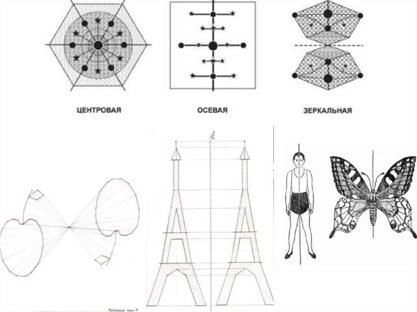 Симметричные фигуры в природе