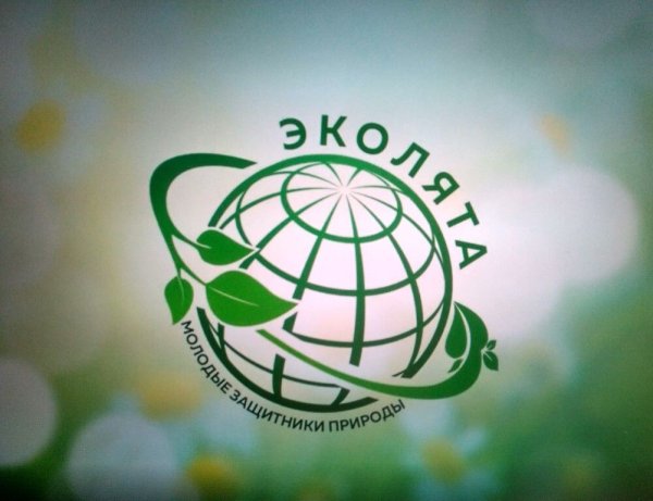 Эмблема Эколят
