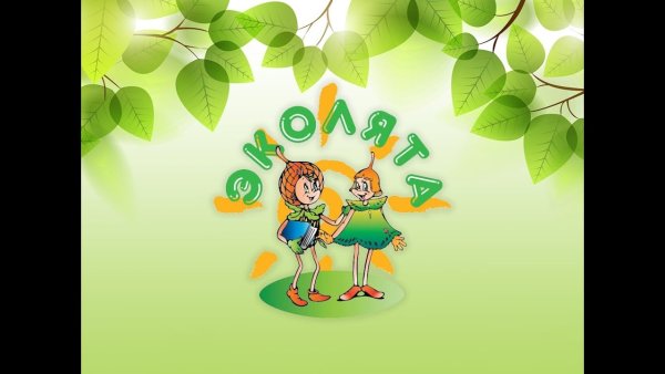 Герои Эколята дошколята шалун