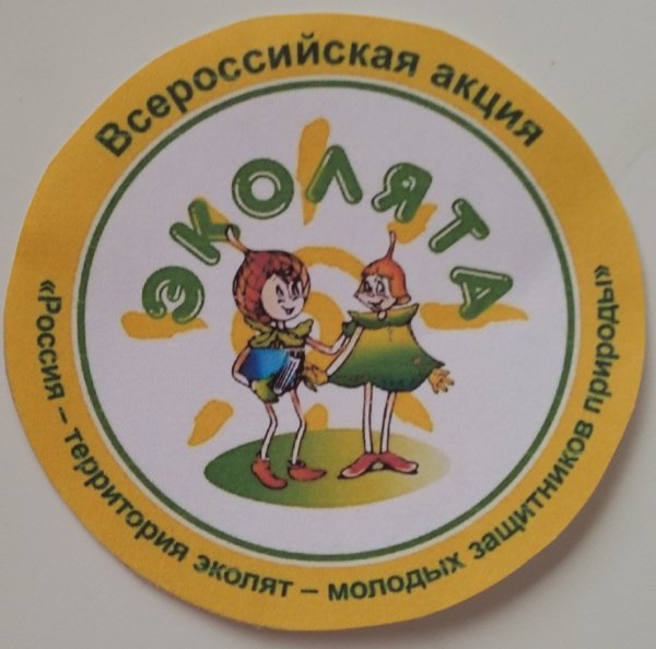 Эколята молодые защитники природы