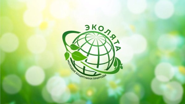 Эколята защитники