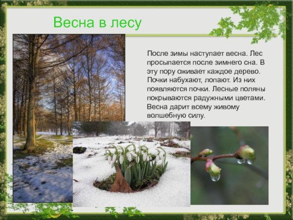 Весна проталины подснежники природа