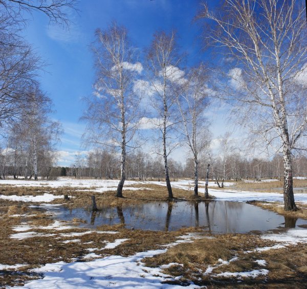 Весна в России