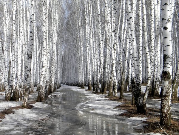 Цветокоррекция пейзажа