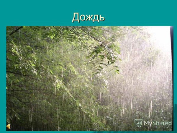 Явление природы дождь для дошкольников