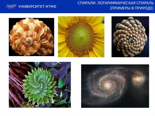 Логарифмическая спираль в природе и технике