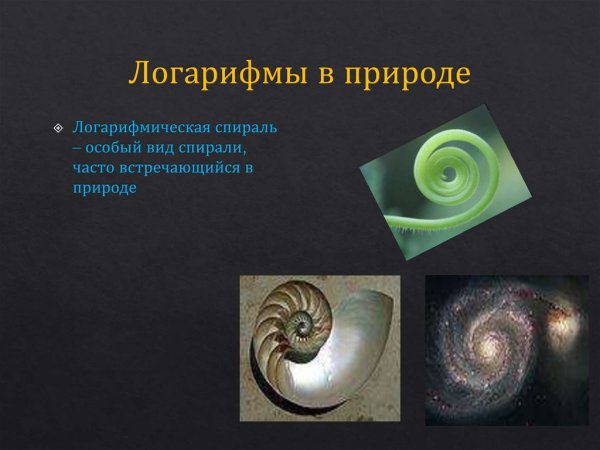 Логарифмическая спираль изогональная