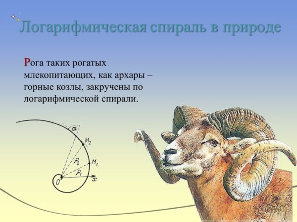 Логарифмическая спираль в космосе