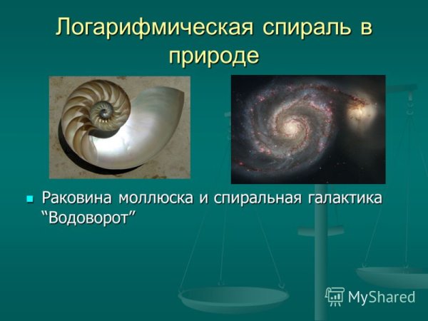 Галактика логарифмическая спираль