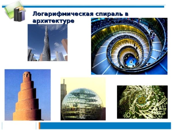 Числа Фибоначчи в природе