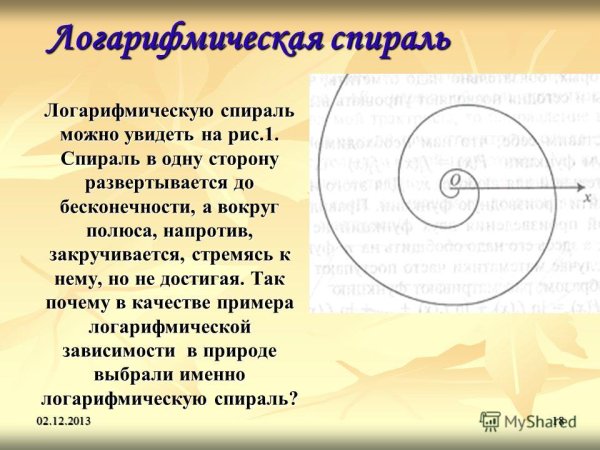 Логарифмическая спираль в жизни