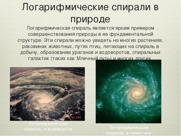 Логарифмическая спираль