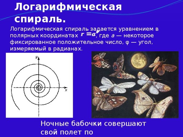 Спираль Архимеда Фибоначчи