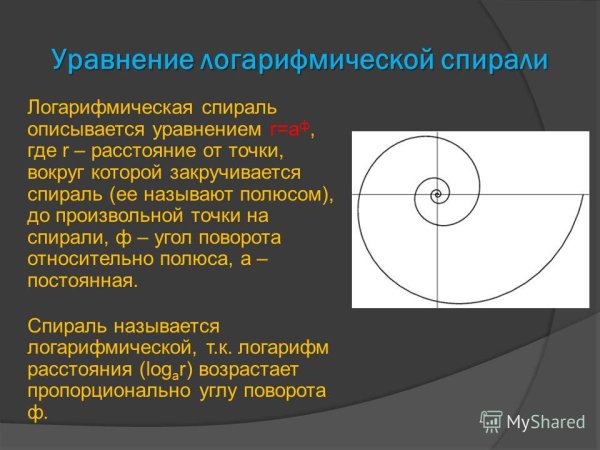 Фибоначчи золотое сечение в природе