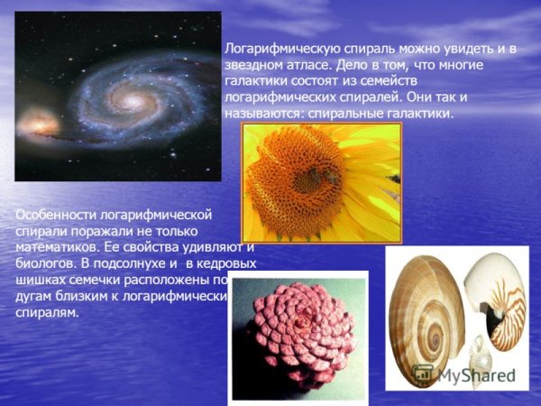 Логарифмическая спираль в Музыке