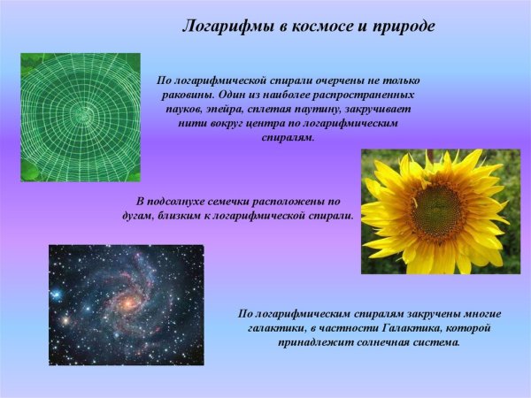 Логарифмическая спираль в природе