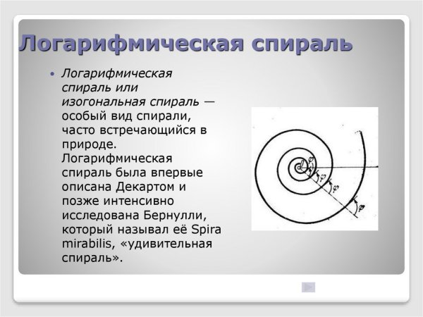 Логарифмическая спираль в природе