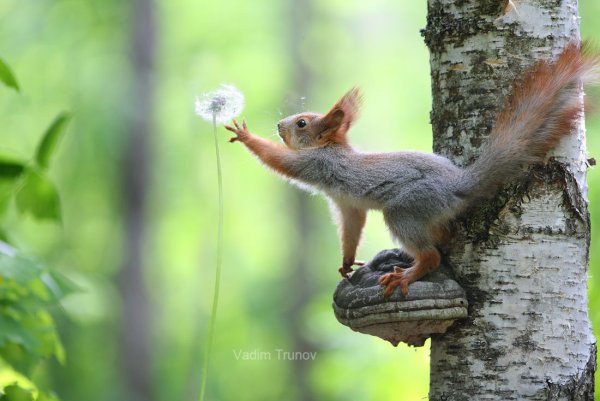 Вадим Трунов фотограф