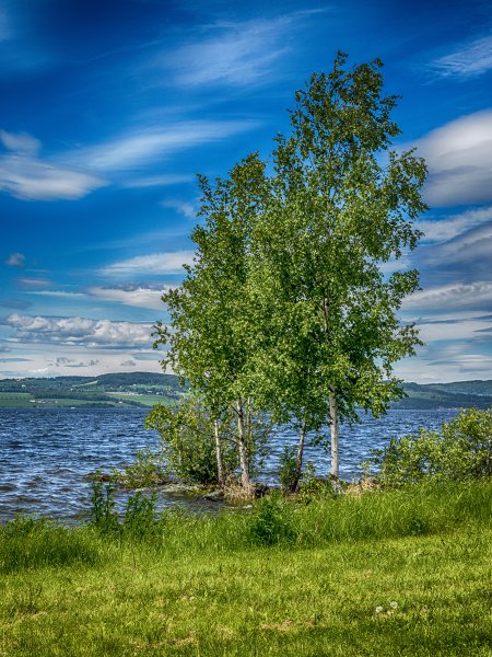 Русская природа летом